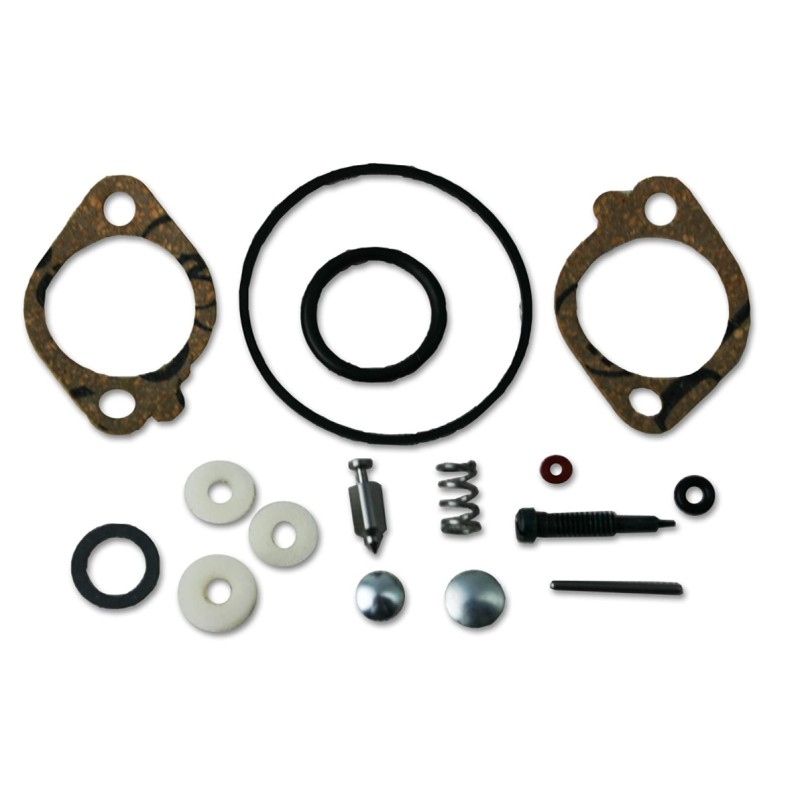 Kit revisione carburatori motore BRIGGS & STRATTON Quantum 5 cv