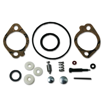 Carburettor overhaul kit BRIGGS & STRATTON Quantum 5 hp engine | Newgardenstore.eu