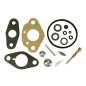 TECUMSEH AV520 UNIVERSAL SCHWIMMER TYP - ECH90 carburettor overhaul kit