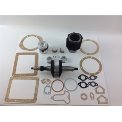 Kit de révision cylindre-piston-vilebrequin DIESEL LOMBARDINI 3LD510 industrial | Newgardenstore.eu