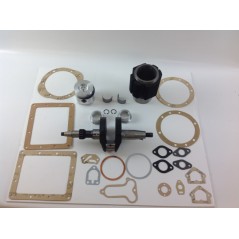 Kit revisión cigüeñal cilindro-pistón DIESEL LOMBARDINI 3LD510 industrial | Newgardenstore.eu