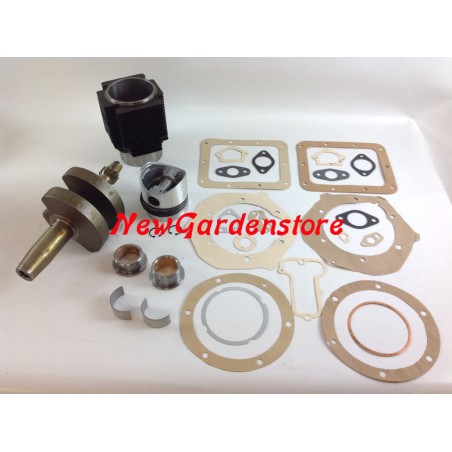 Kit revisione cilindro pistone albero motore DIESEL LOMBARDINI 4LD820 AUTOTRAZIONE | Newgardenstore.eu