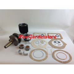 Kit revisión cilindro pistón cigüeñal DIESEL LOMBARDINI 4LD820 CARTRACTION | Newgardenstore.eu