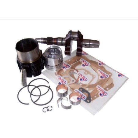 Kit revisione cilindro pistone albero motore DIESEL LOMBARDINI LDA100 AUTOTRAZIONE | Newgardenstore.eu