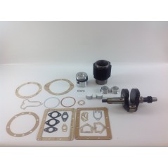 Kit revisione cilindro pistone albero motore DIESEL LOMBARDINI LDA510 autotrazione | Newgardenstore.eu