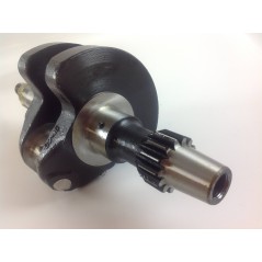 Overhaul kit cylinder piston crankshaft DIESEL LOMBARDINI LDA510 automotive | Newgardenstore.eu