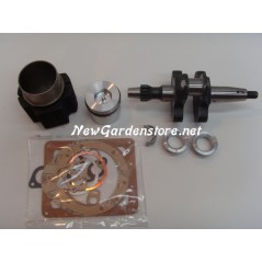 Kit revisione cilindro pistone guarnizioni albero motore DIESEL LOMBARDINI 6LD360 | Newgardenstore.eu