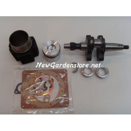 Kit revisione cilindro pistone guarnizioni albero motore DIESEL LOMBARDINI 6LD360 | Newgardenstore.eu