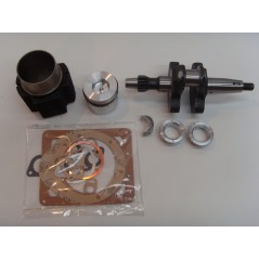 Kit revisión cilindro pistón cigüeñal juntas DIESEL LOMBARDINI 6LD400 | Newgardenstore.eu