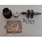 Kit de révision cylindre piston vilebrequin joints DIESEL LOMBARDINI 6LD400