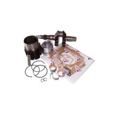 Kit revisione motore DIESEL RUGGERINI RF120 albero cilindro pistone guarnizioni | Newgardenstore.eu