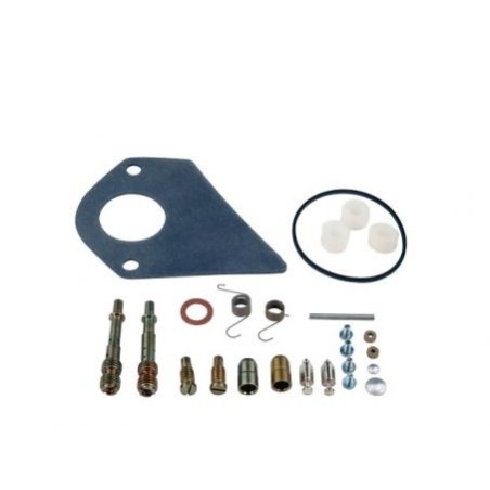 Carburettor repair kit BRIGGS&STRATTON 28 vertical engine cod. 499220 | Newgardenstore.eu