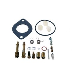 BRIGGS&STRATTON engine carburettor repair kit 287707, 28777, 28N777, 28P777 | Newgardenstore.eu
