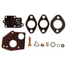 Kit reparación carburador BRIGGS&STRATTON motor 3-4 CV vertical