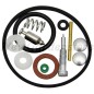 Kit reparación carburador tractor de césped compatible BRIGGS & STRATTON