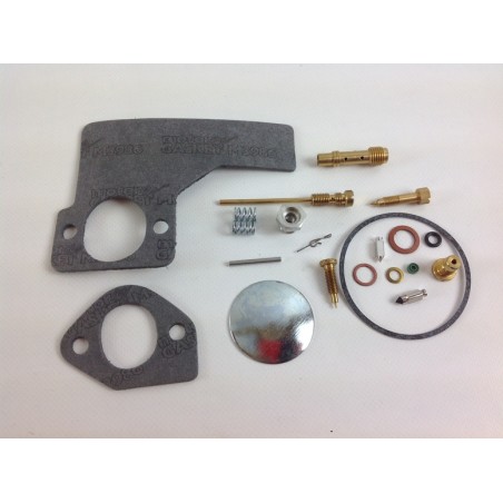 Kit de réparation carburateur pour tracteur de pelouse BRIGGS & STRATTON 394698