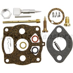 Kit de reparación del carburador del tractor de césped BRIGGS&STRATTON 291691 | Newgardenstore.eu