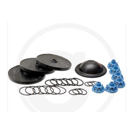 Repair kit for diaphragm pump APS 101 121 ANNOVI 6705026008900 | Newgardenstore.eu