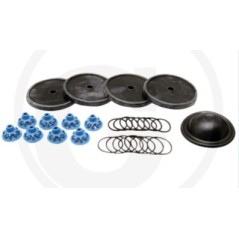 Repair kit for diaphragm pump APS 145 ANNOVI 6705026018000 | Newgardenstore.eu