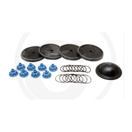 Kit de réparation pour pompe à membrane APS 145 ANNOVI 6705026018000 | Newgardenstore.eu