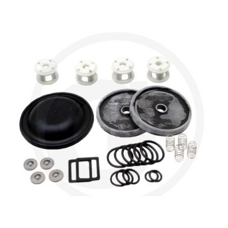 Repair kit for diaphragm pump BP 20/15 ANNOVI 6705026006900 | Newgardenstore.eu