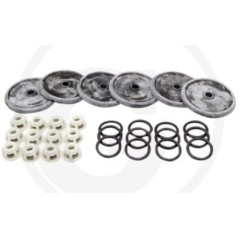 Repair kit for diaphragm pump BP 205K BP 235K ANNOVI 6705026035100 | Newgardenstore.eu