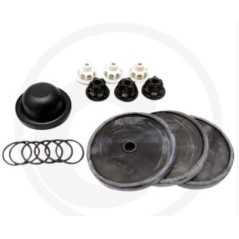 Repair kit for diaphragm pump IDS 1201 1401 ANNOVI 6705026036700 | Newgardenstore.eu