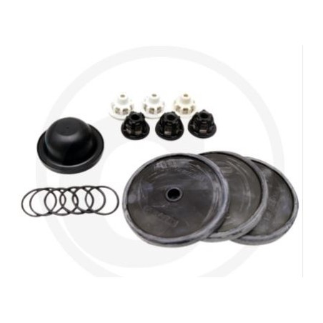 Repair kit for diaphragm pump IDS 1201 1401 ANNOVI 6705026036700 | Newgardenstore.eu