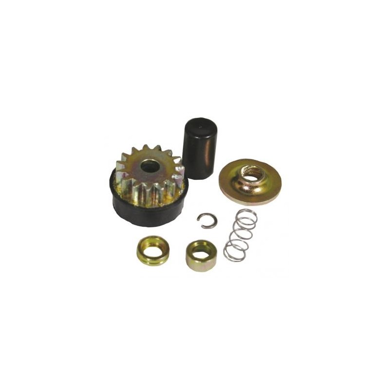 Kit reparación strater motor compatible BRIGGS&STRATTON 245432-0004-H1