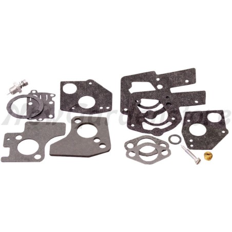 Kit de reparación para tractor de césped compatible BRIGGS & STRATTON 495606 | Newgardenstore.eu