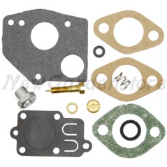 Kit de réparation pour tracteur de pelouse BRIGGS&STRATTON compatible 495606 494624 | Newgardenstore.eu