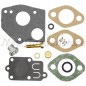 BRIGGS&STRATTON compatible lawn tractor repair kit 495606 494624