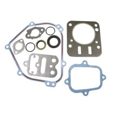 Gasket set kit for BRIGGS&STRATTON engine 13L132-0310-F8 series | Newgardenstore.eu