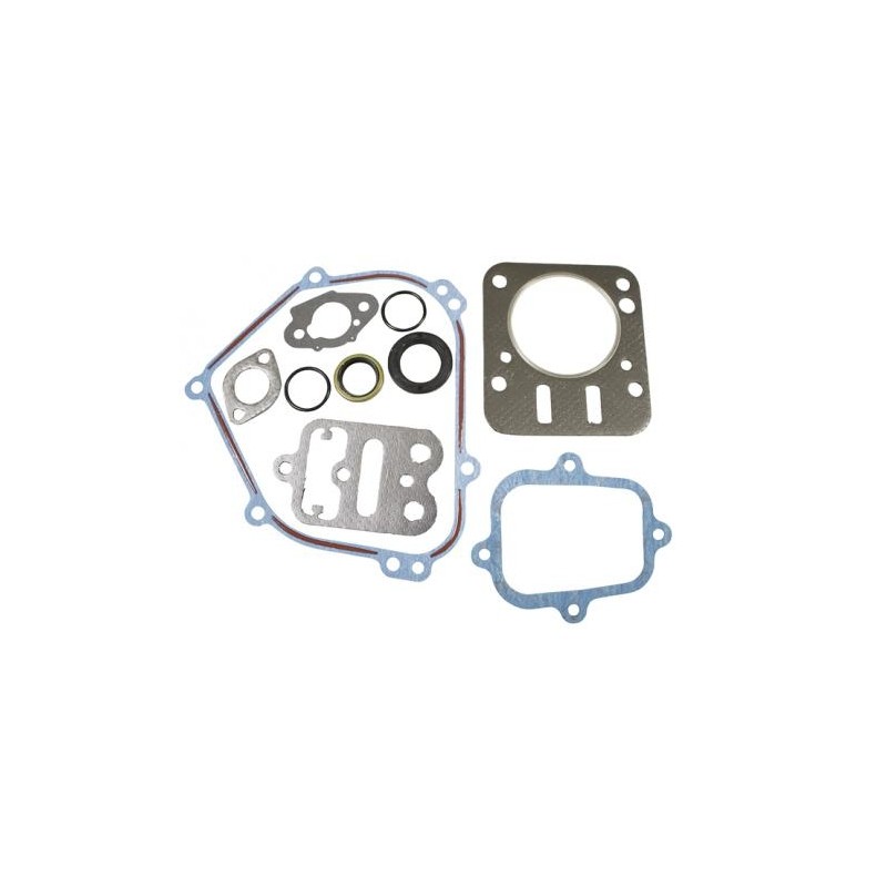 Gasket set kit for BRIGGS&STRATTON engine 13L132-0310-F8 series