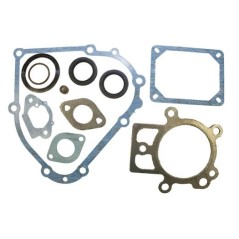 Gasket set kit for BRIGGS&STRATTON engine series 19L132-0320-F1 | Newgardenstore.eu