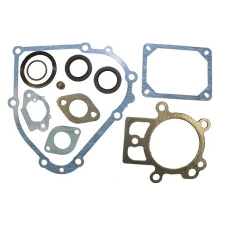 Gasket set kit for BRIGGS&STRATTON engine series 19L132-0320-F1 | Newgardenstore.eu