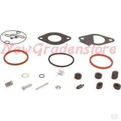 NIKKI carburettor seal kit for BRIGGS & STRATTON engine 796184 698787 | Newgardenstore.eu