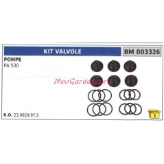 UNIVERSAL valve kit Bertolini pump PA 530 003326 | Newgardenstore.eu