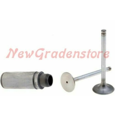 LOMBARDINI diesel engine valve + valve guide kit LDA820 4LD820 LDA96 LDA97 | Newgardenstore.eu