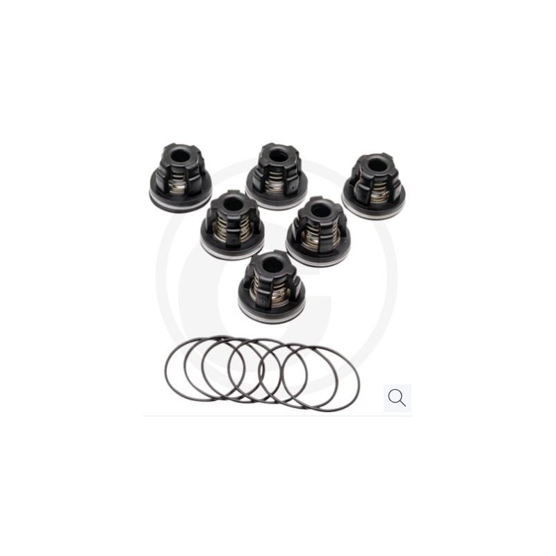 O-ring valve kit for diaphragm pump AR 503 AP C/SP ANNOVI 6701987