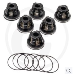 O-Ring-Ventilsatz für Membranpumpe AR115 ANNOVI 6702370