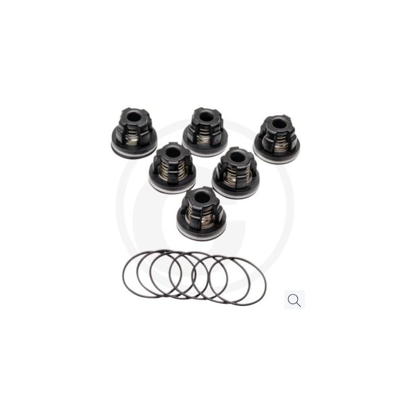 Kit valvole O-ring per pompa a membrana AR115 ANNOVI 6702370