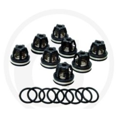 O-ring valve kit for diaphragm pump AR160 185 ANNOVI 6702374