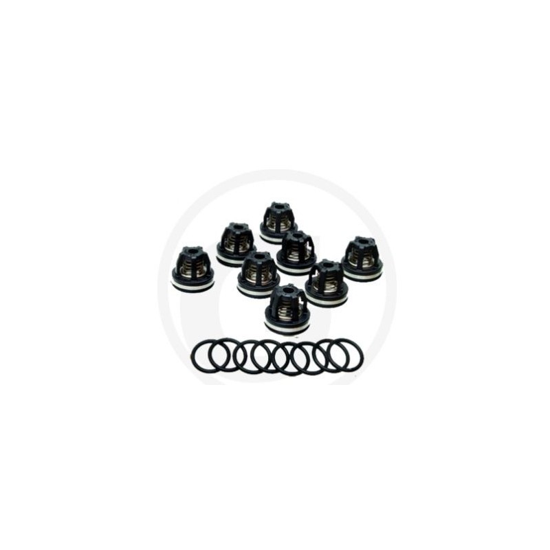 O-Ring-Ventilsatz für die Membranpumpe AR160 185 ANNOVI 6702374