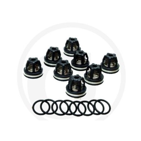 Kit valvole O-ring per pompa a membrana AR160 185 ANNOVI 6702374 | Newgardenstore.eu