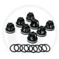 Kit valvole O-ring per pompa a membrana AR160 185 ANNOVI 6702374