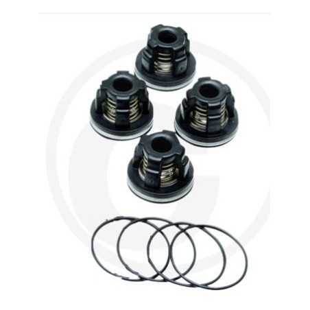 Kit O-RING pour pompe à membrane AR70 ANNOVI 6702364 | Newgardenstore.eu