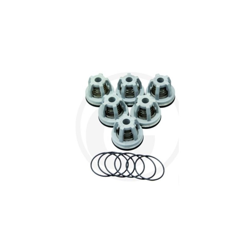 O-ring valve kit for diaphragm pump BHA 130 AP C/C ANNOVI 6702445