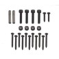 Set of MAORI head screws BASIC B10 - FULMINE STD - TWIST EVO - 014907