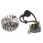 Kit bobina motor desbrozadora 260 Euro1 GBL 34 SANDRIGARDEN KASEI 1E34F.5